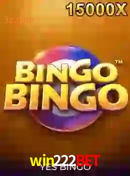 bingobingo